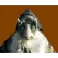 PallindroneT3604