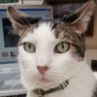 Peterthecat1