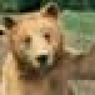 beardrinksbeer