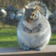 ChunkySquirrel