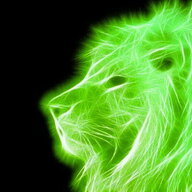 Lion3