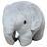 2_elephant_2