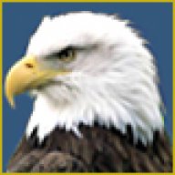 Eagle Eye_54