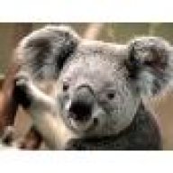 zodiacbear77