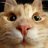 Coxy_UK