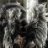 DeadCat