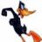 daffy1