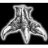raptorkill