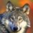 cavedog